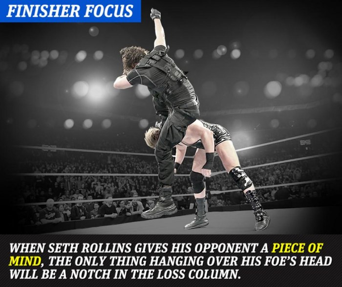 WWE_Active_Finisher_Focus.jpg