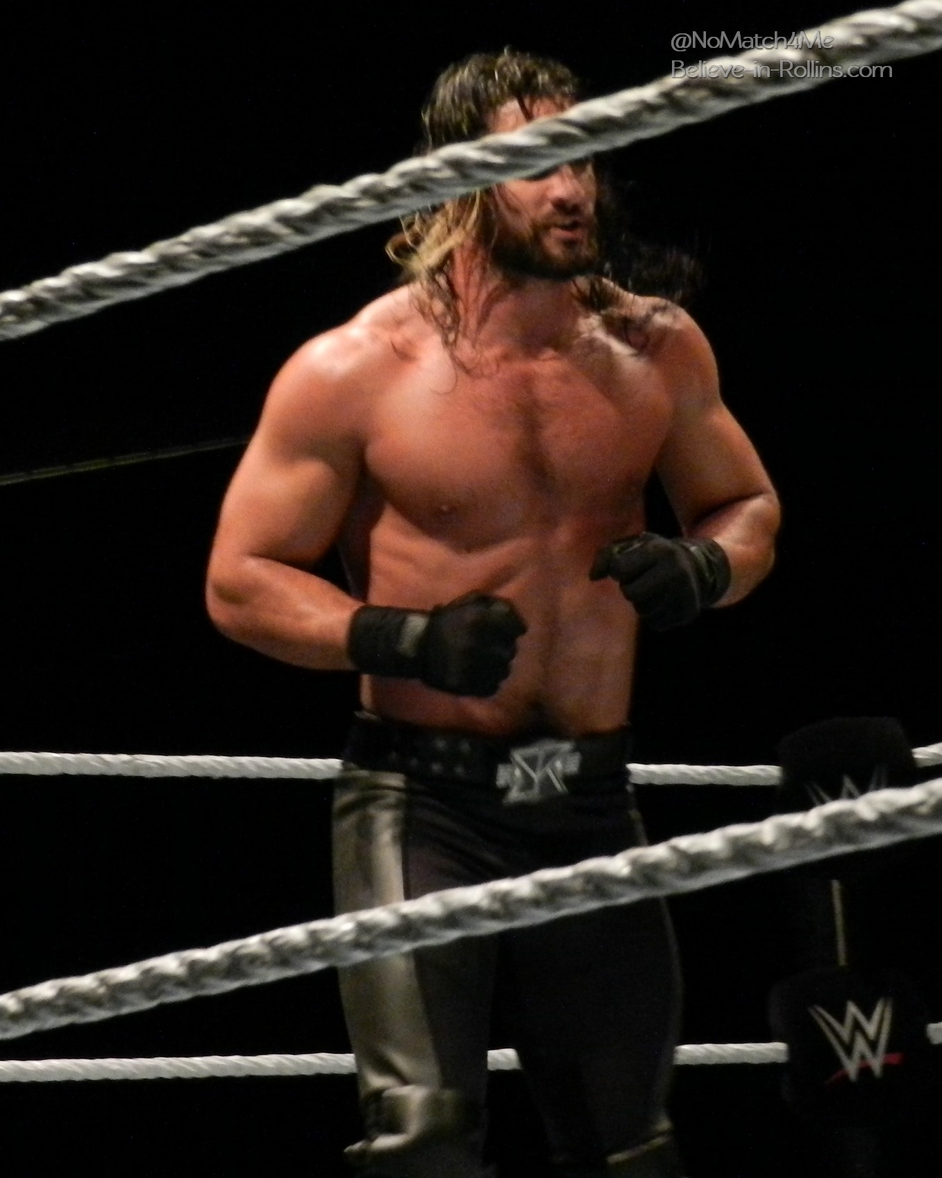 WWE_Live_Newark_2015_13.jpg