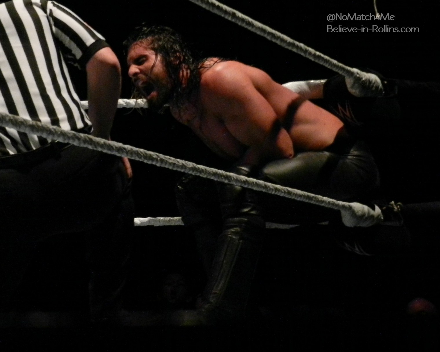 WWE_Live_Newark_2015_16.jpg