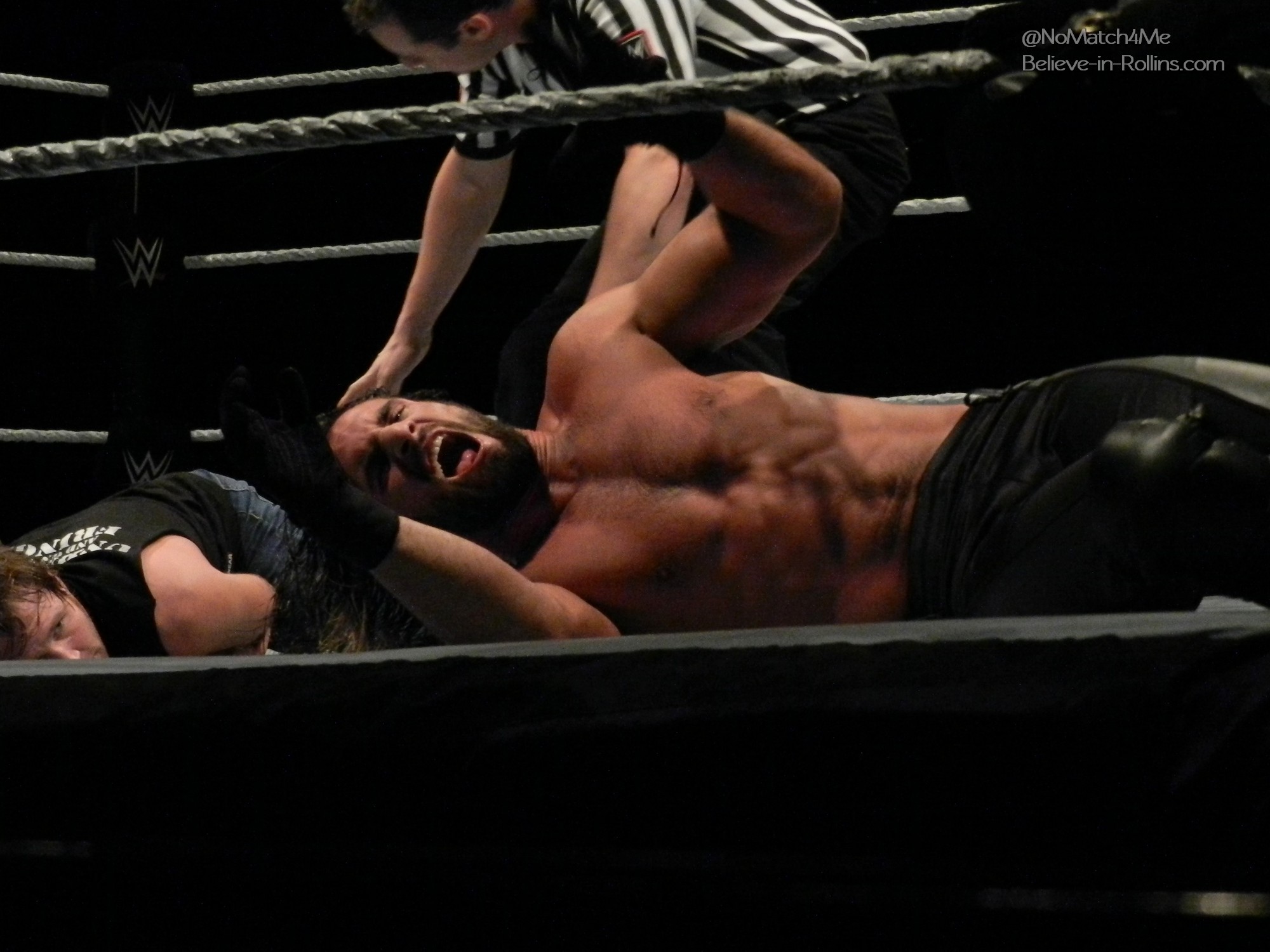 WWE_Live_Newark_2015_18.jpg