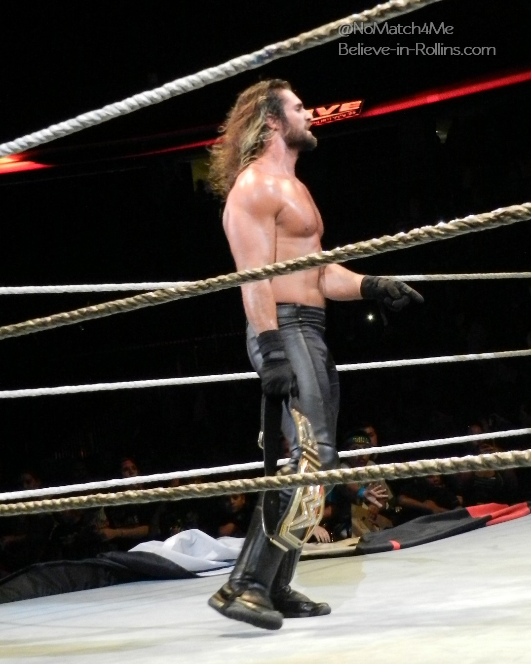 WWE_Live_Newark_2015_33.jpg