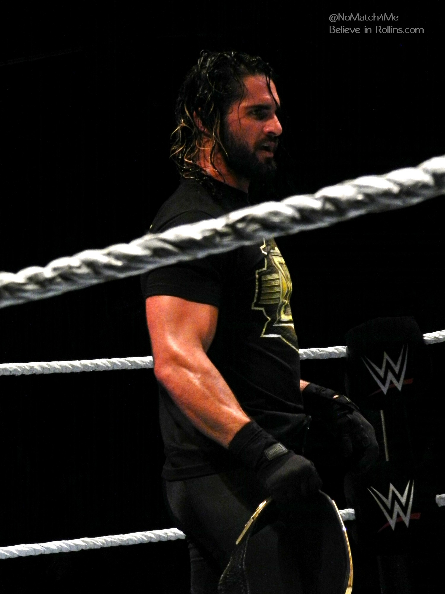 WWE_Live_Newark_2015_7~0.jpg