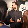 Meeting_the_WWE_Universe_Tokyo_252.jpg