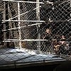 WWE_Live_Jessica_250.jpg