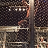 WWE_Live_Jessica_273.jpg