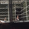 WWE_Live_Jessica_350.jpg