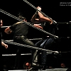 WWE_Live_Newark_2015_8~0.jpg