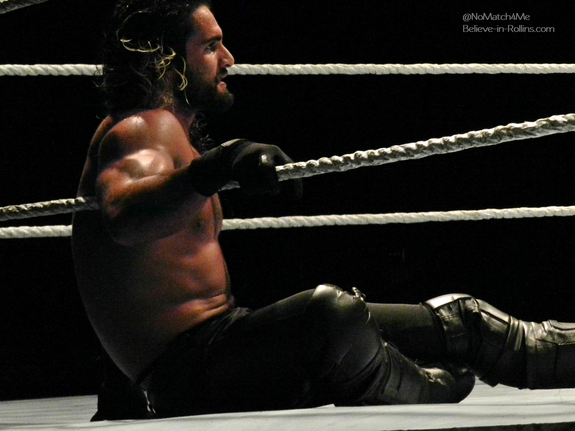 WWE_Live_Newark_2015_27.jpg