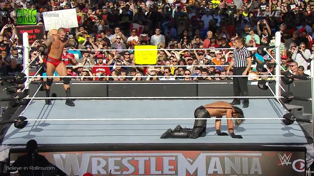 WrestleMania31_305.jpg
