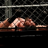 WWE_Live_Izod_271.jpg