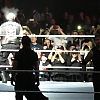 WWE_London_Candids_DANet_266.jpg